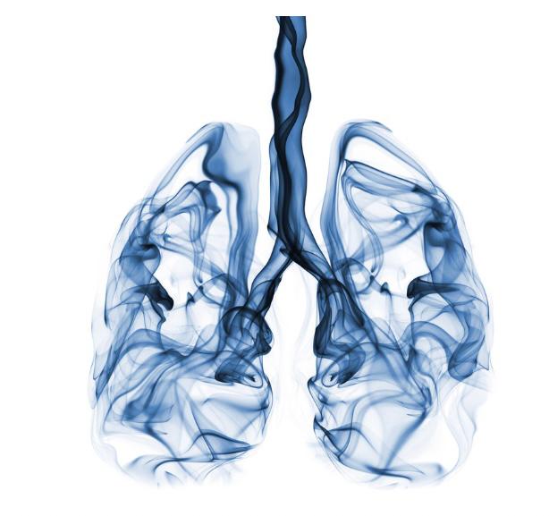 Câncer de pulmão: a maioria é evitável